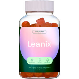 Leanix